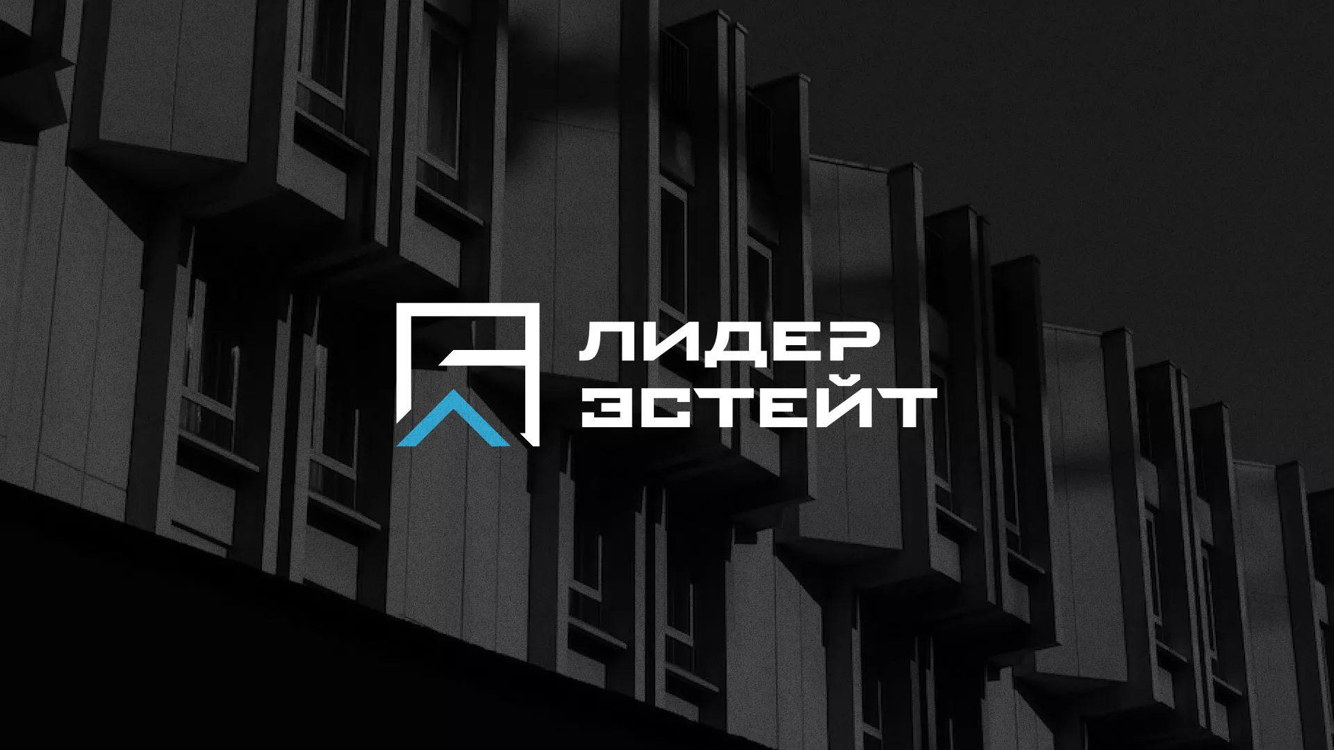 Разработка логотипа агентства недвижимости «Лидер Эстейт» в Чебоксарах